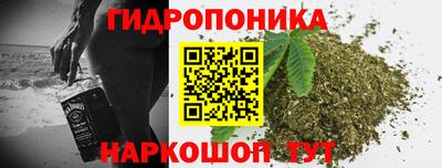 тгк Краснокаменск