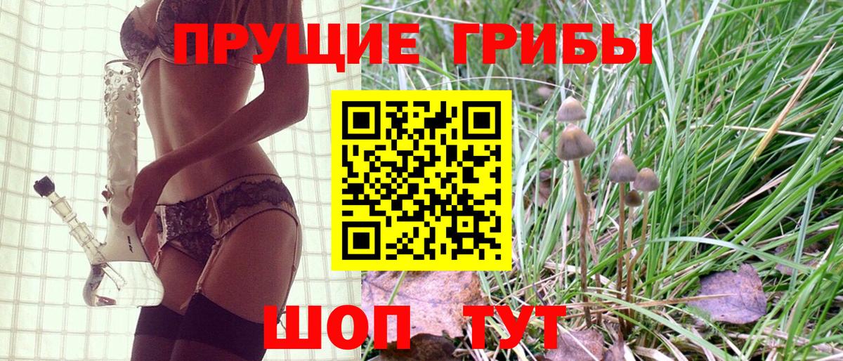 Галлюциногенные грибы ЛСД  Вход с VPN  Каменск-Шахтинский 