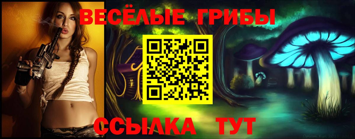Псилоцибиновые грибы Psilocybine cubensis Каменск-Шахтинский
